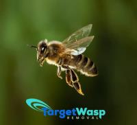 Target Wasp Removal Brisbane image 4